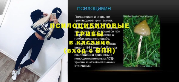 каннабис Аркадак