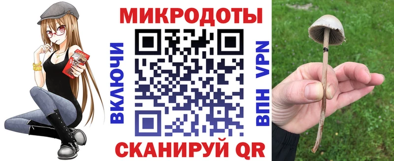 Псилоцибиновые грибы Psilocybe  где найти   Покачи 